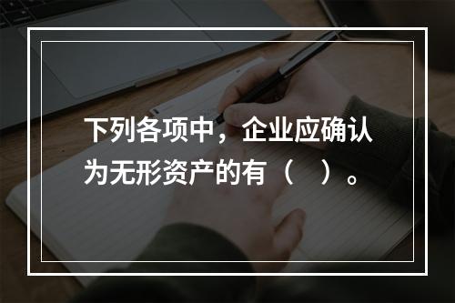 下列各项中，企业应确认为无形资产的有（　）。