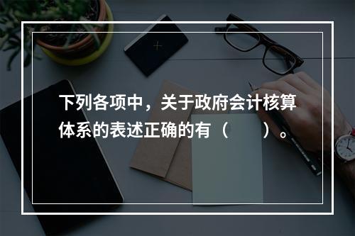 下列各项中，关于政府会计核算体系的表述正确的有（　　）。