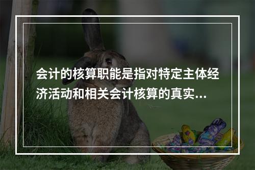 会计的核算职能是指对特定主体经济活动和相关会计核算的真实性、