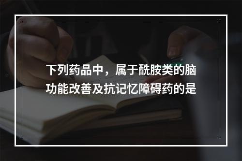 下列药品中，属于酰胺类的脑功能改善及抗记忆障碍药的是