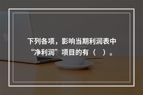 下列各项，影响当期利润表中“净利润”项目的有（　）。