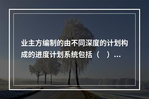 业主方编制的由不同深度的计划构成的进度计划系统包括（　）。