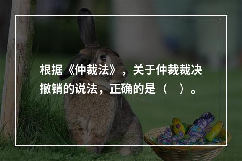 根据《仲裁法》，关于仲裁裁决撤销的说法，正确的是（　）。