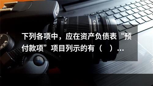 下列各项中，应在资产负债表“预付款项”项目列示的有（　）。