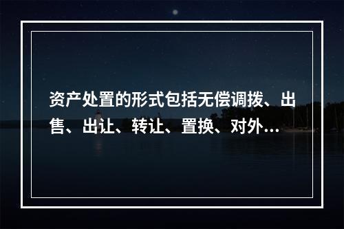 资产处置的形式包括无偿调拨、出售、出让、转让、置换、对外捐赠