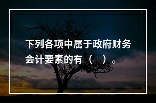 下列各项中属于政府财务会计要素的有（　）。