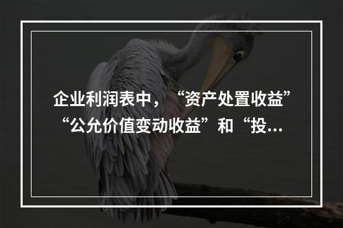 企业利润表中，“资产处置收益”“公允价值变动收益”和“投资收