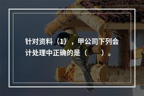 针对资料（1），甲公司下列会计处理中正确的是（　　）。