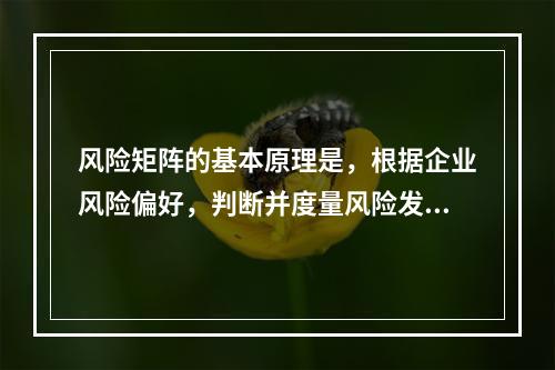 风险矩阵的基本原理是，根据企业风险偏好，判断并度量风险发生的