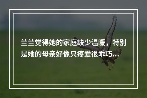 兰兰觉得她的家庭缺少温暖，特别是她的母亲好像只疼爱很乖巧的姐