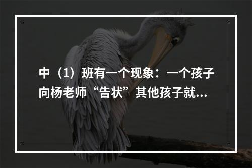 中（1）班有一个现象：一个孩子向杨老师“告状”其他孩子就会一