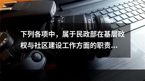 下列各项中，属于民政部在基层政权与社区建设工作方面的职责的是