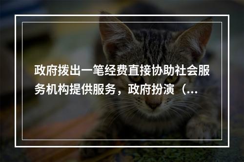 政府拨出一笔经费直接协助社会服务机构提供服务，政府扮演（　　