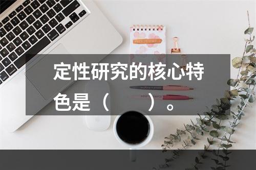 定性研究的核心特色是（　　）。