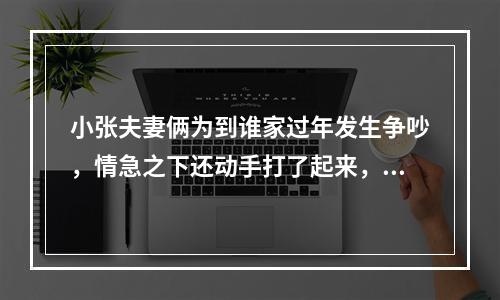 小张夫妻俩为到谁家过年发生争吵，情急之下还动手打了起来，为此