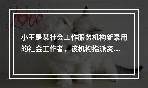 小王是某社会工作服务机构新录用的社会工作者，该机构指派资深社