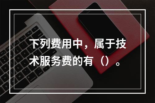 下列费用中，属于技术服务费的有（）。