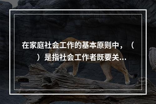 在家庭社会工作的基本原则中，（　　）是指社会工作者既要关注受