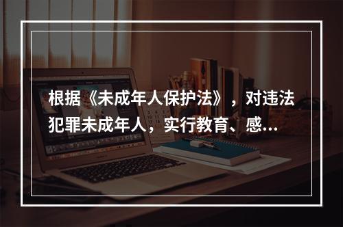 根据《未成年人保护法》，对违法犯罪未成年人，实行教育、感化、