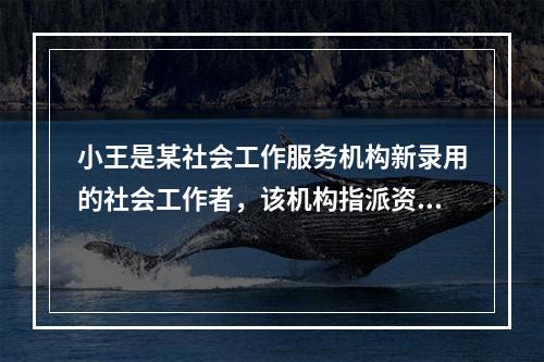 小王是某社会工作服务机构新录用的社会工作者，该机构指派资深社