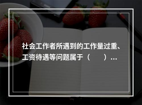 社会工作者所遇到的工作量过重、工资待遇等问题属于（　　）。