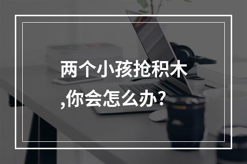 两个小孩抢积木,你会怎么办?