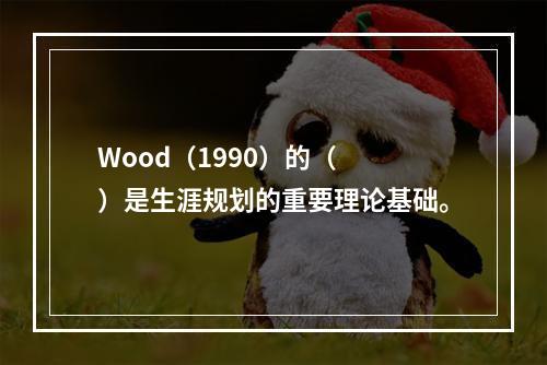 Wood（1990）的（　　）是生涯规划的重要理论基础。