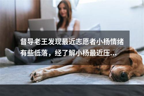 督导老王发现最近志愿者小杨情绪有些低落，经了解小杨最近压力比