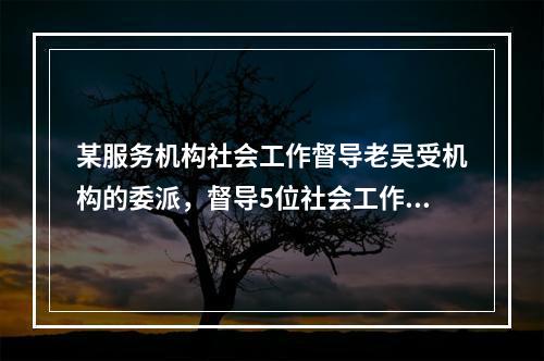 某服务机构社会工作督导老吴受机构的委派，督导5位社会工作者，