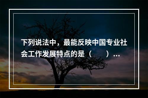 下列说法中，最能反映中国专业社会工作发展特点的是（　　）。[