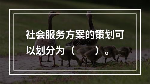 社会服务方案的策划可以划分为（　　）。