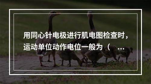 用同心针电极进行肌电图检查时，运动单位动作电位一般为（　　