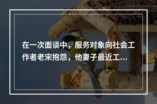 在一次面谈中，服务对象向社会工作者老宋抱怨，他妻子最近工作太