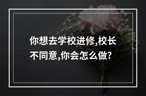 你想去学校进修,校长不同意,你会怎么做?