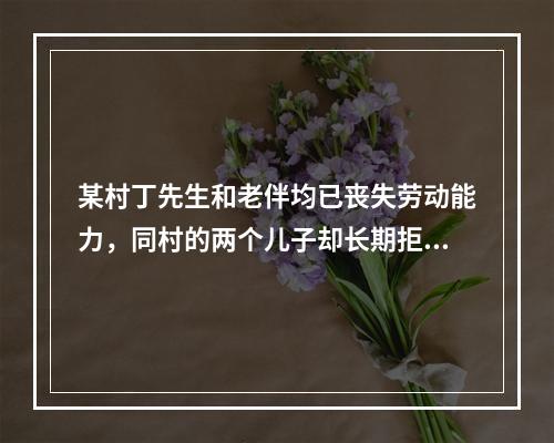 某村丁先生和老伴均已丧失劳动能力，同村的两个儿子却长期拒不支