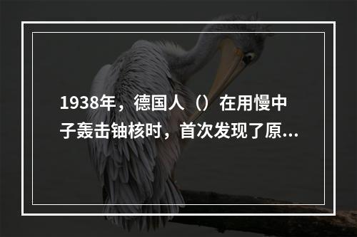 1938年，德国人（）在用慢中子轰击铀核时，首次发现了原子核