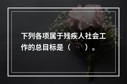 下列各项属于残疾人社会工作的总目标是（　　）。