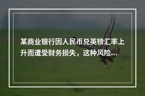 某商业银行因人民币兑英镑汇率上升而遭受财务损失，这种风险属于