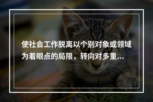 使社会工作脱离以个别对象或领域为着眼点的局限，转向对多重个人