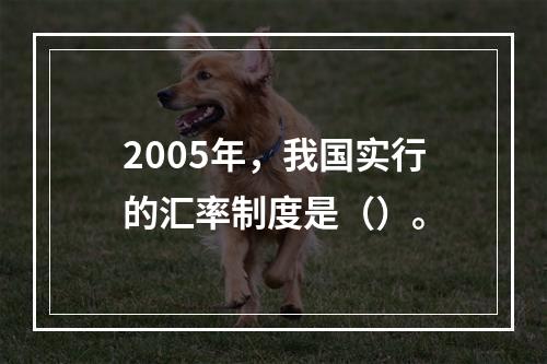 2005年，我国实行的汇率制度是（）。