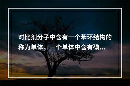 对比剂分子中含有一个苯环结构的称为单体，一个单体中含有碘原子