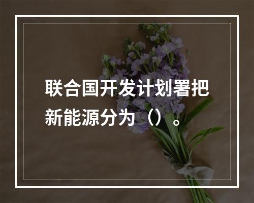 联合国开发计划署把新能源分为（）。