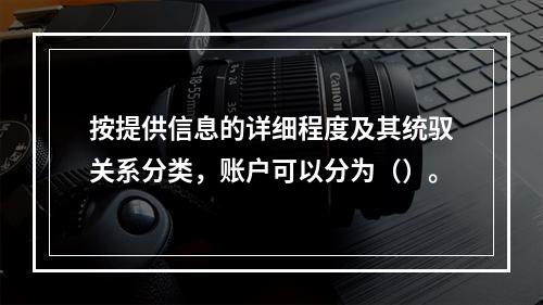 按提供信息的详细程度及其统驭关系分类，账户可以分为（）。