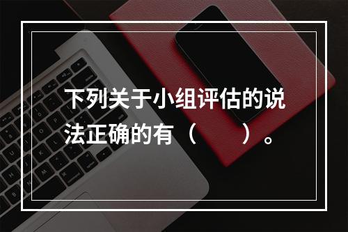 下列关于小组评估的说法正确的有（　　）。