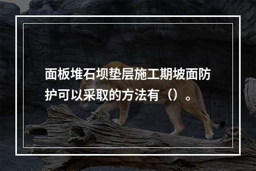 面板堆石坝垫层施工期坡面防护可以采取的方法有（）。