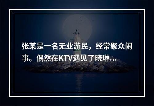 张某是一名无业游民，经常聚众闹事。偶然在KTV遇见了晓琳，随