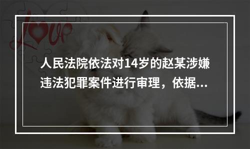 人民法院依法对14岁的赵某涉嫌违法犯罪案件进行审理，依据《中