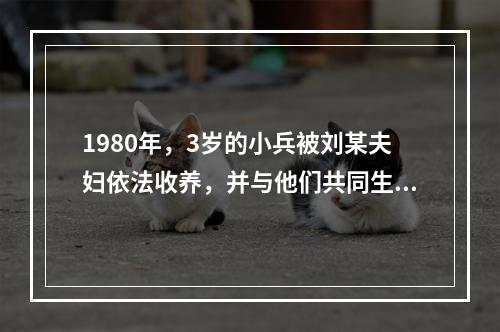 1980年，3岁的小兵被刘某夫妇依法收养，并与他们共同生活至