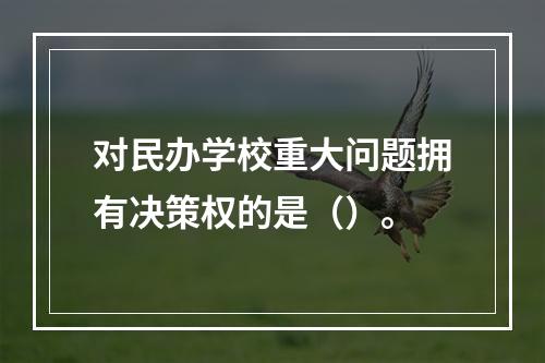 对民办学校重大问题拥有决策权的是（）。