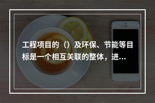 工程项目的（）及环保、节能等目标是一个相互关联的整体，进行工